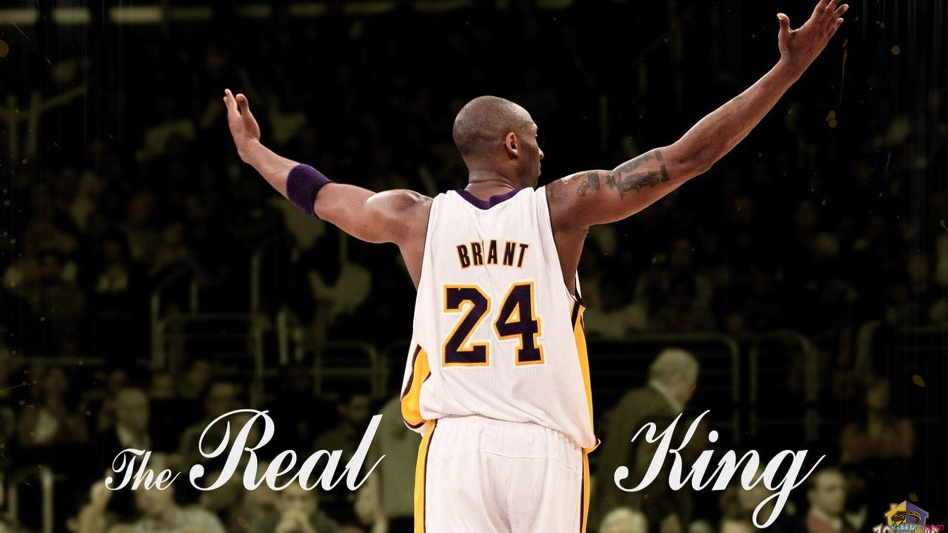 厄德高连线墨西哥,日本足球的降维打击从何而来?